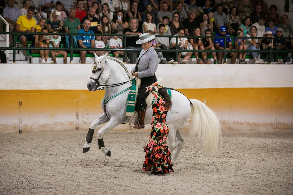 Andalusian Night en El Ranchito: espectáculo ecuestre, cena y flamenco