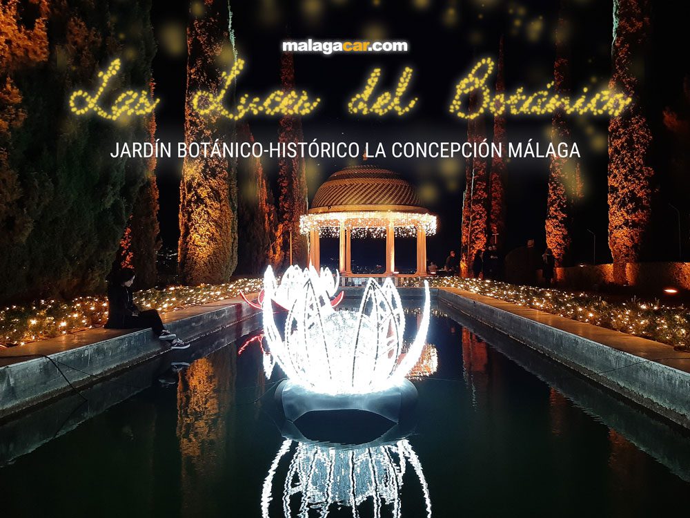 Luces del Botánico – Jardín Botánico de la Concepción