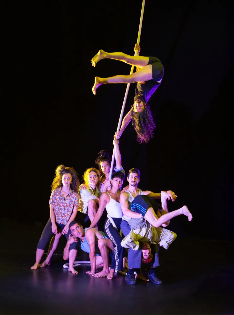 Buen Viento (Circo de sur a sur IV)