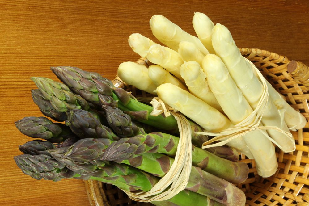 Día del Esparrago – Sierra de Yeguas