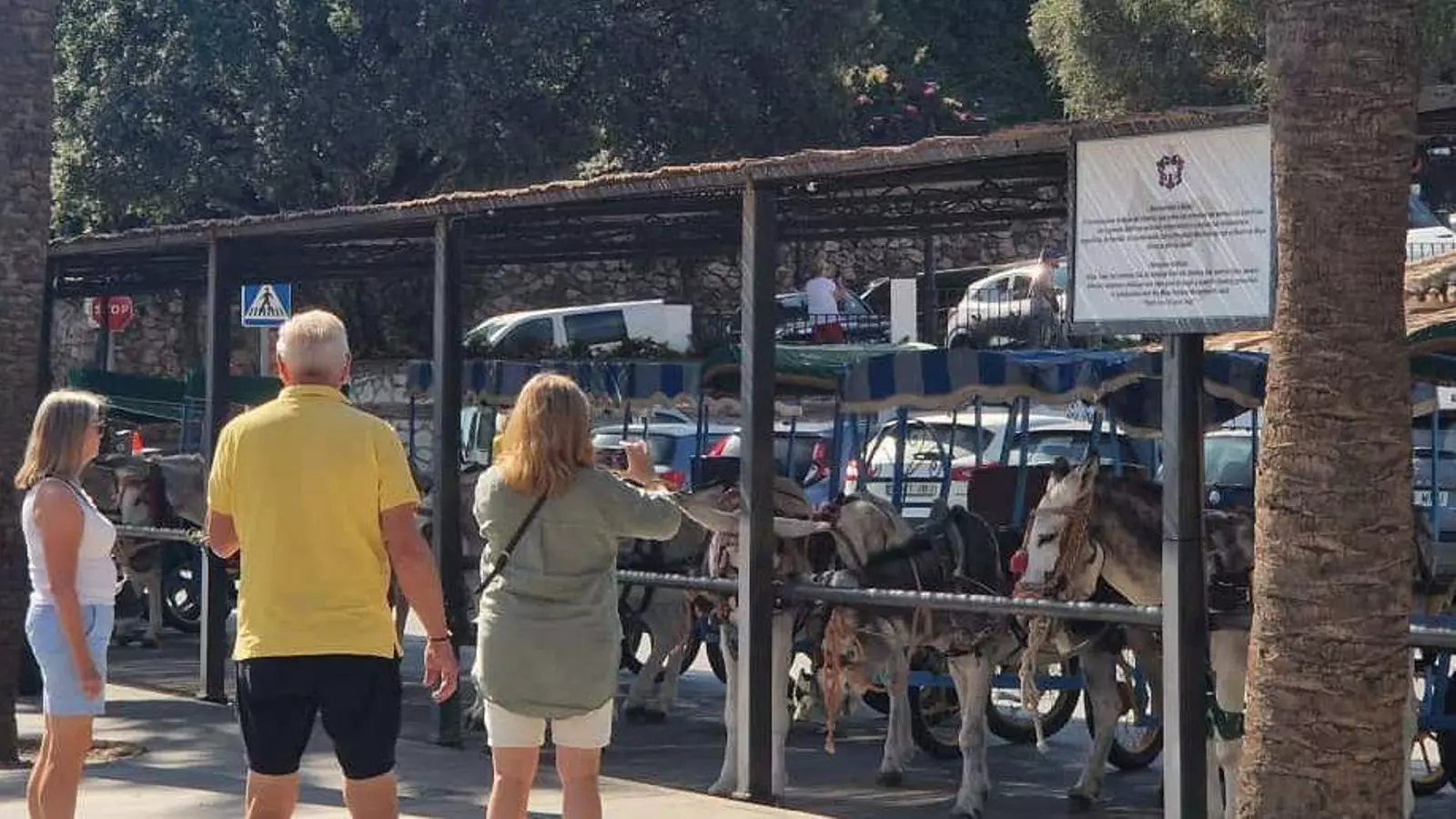 Los burro-taxis de Mijas, otra vez en el punto de mira tras el fin de los coches de caballo en la capital
