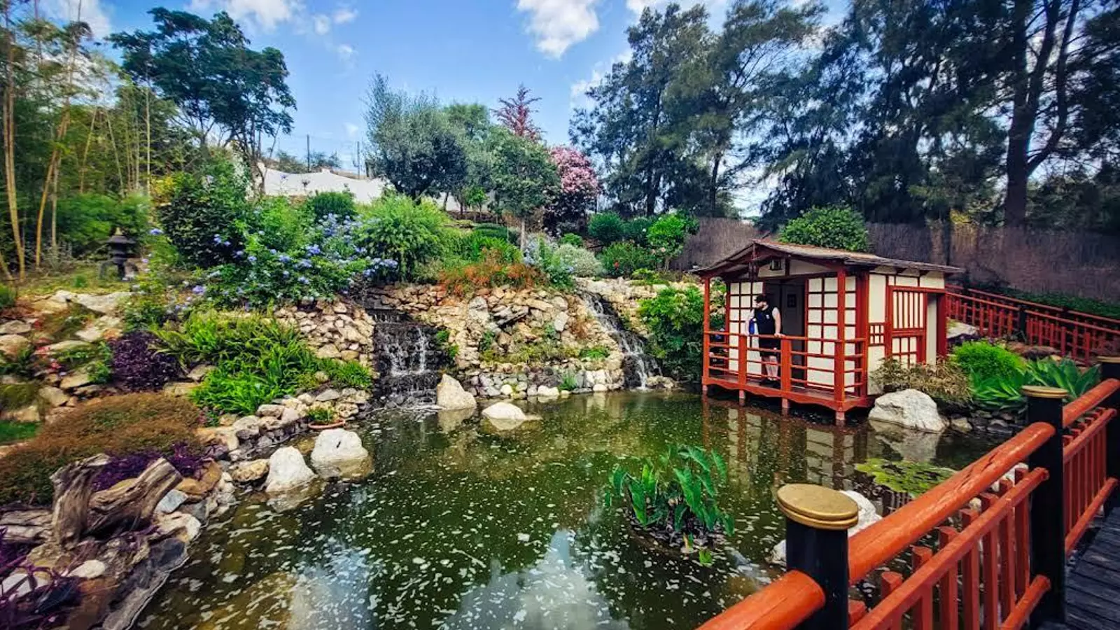 Este oasis escondido en Málaga parece un jardín japonés, cuesta solamente 3 euros y está en Torremolinos