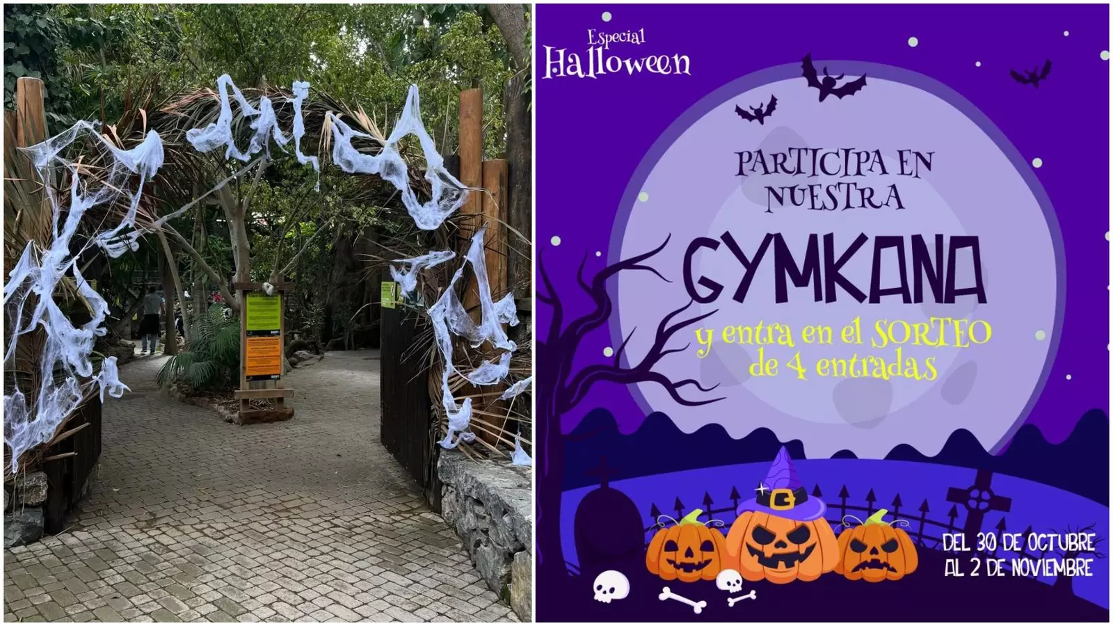 Este es uno de los planes más chulos para ir con niños este Halloween en Málaga: las actividades que propone Bioparc Fuengirola