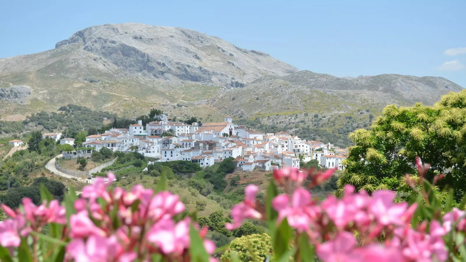 No seas de los que aún no lo conoce: este pequeño pueblo de Málaga parece sacado de una postal otoñal