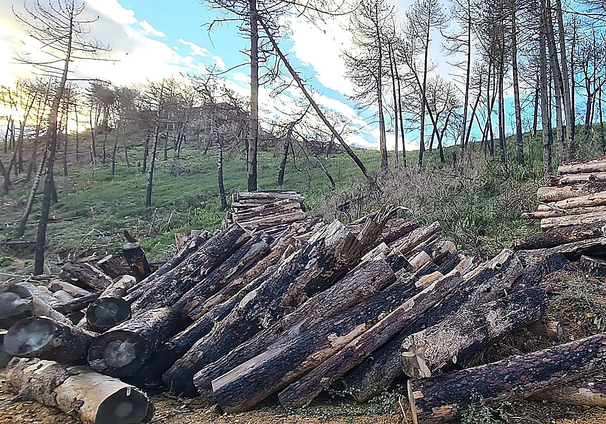 La sierra de Mijas tendrá por primera vez mantenimiento desde este mes