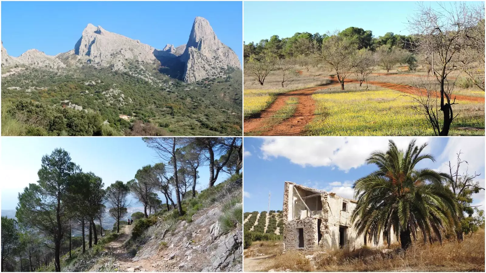 Cuatro rutas de senderismo imprescindibles para disfrutar del otoño en Málaga: fáciles, bonitas y llenas de historia