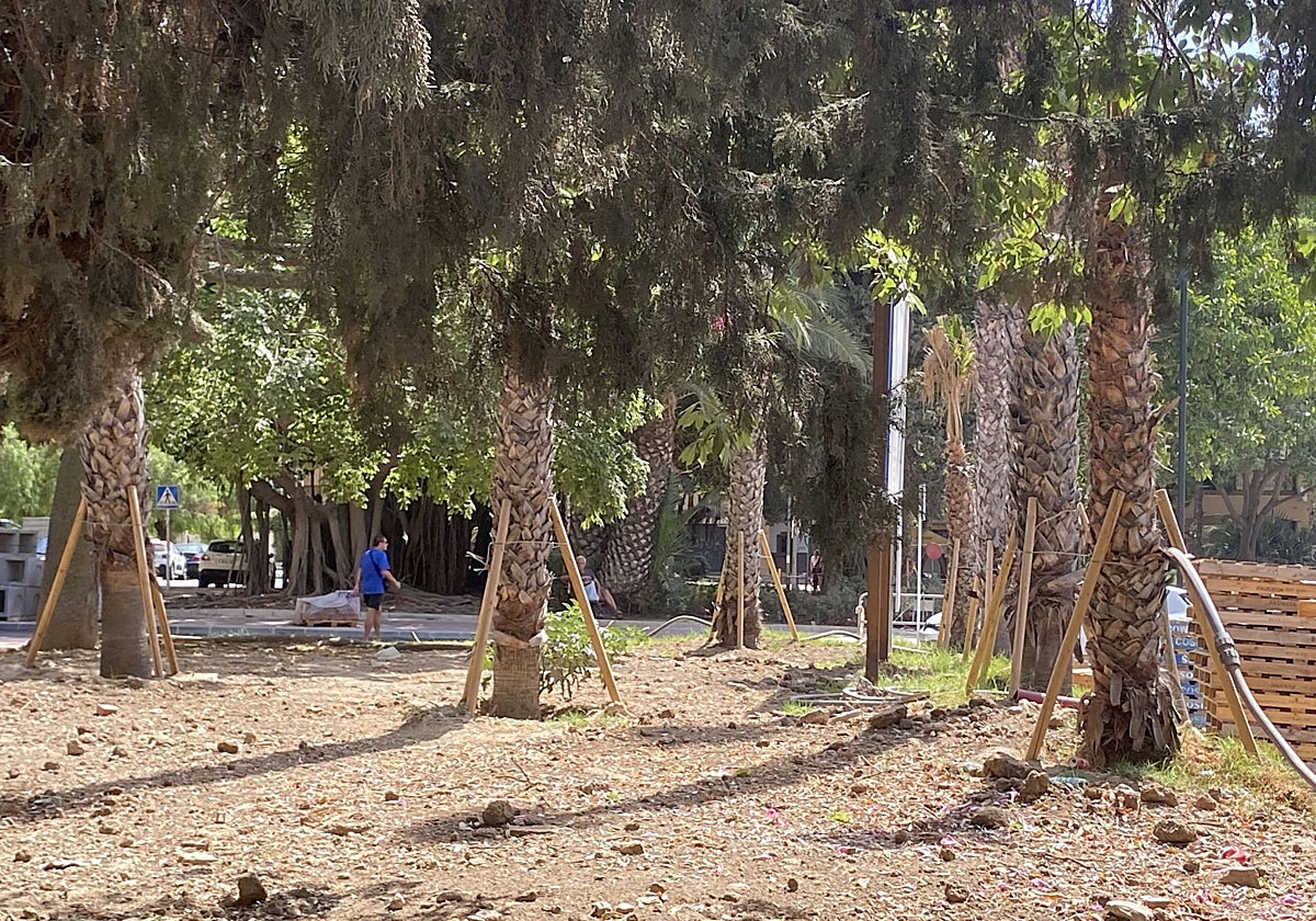 Benalmádena plantará más de 700 árboles y palmeras