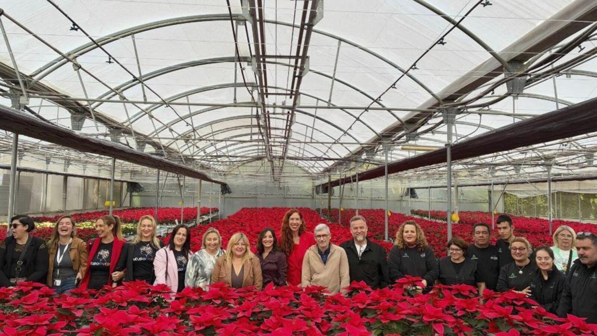 Torremolinos acoge durante 12 días las III Jornadas de la Discapacidad