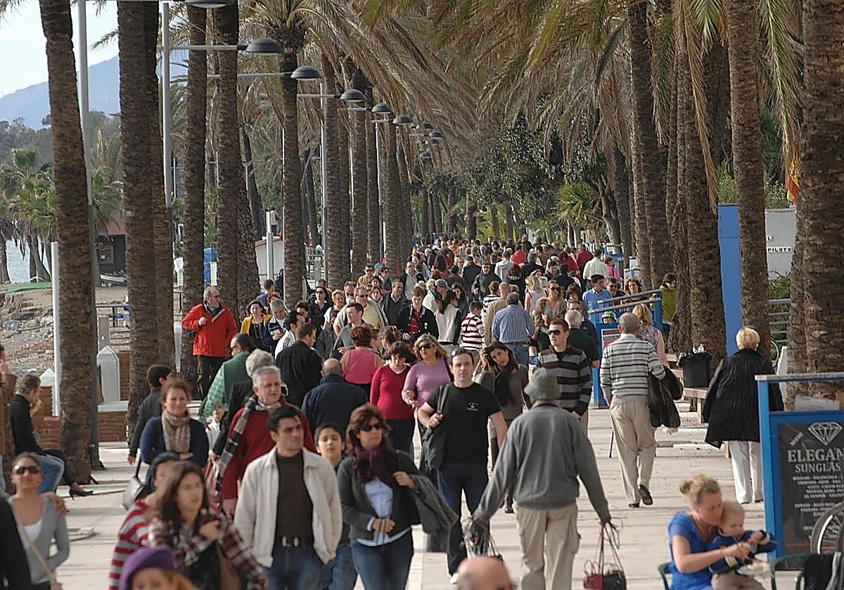 Marbella regenerará zonas turísticas con más de 500 nuevos árboles y palmeras