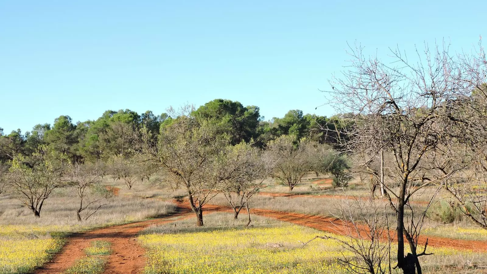 Cuatro rutas de senderismo con las que dejarte boquiabierto en diciembre ahora que llega el frío en Málaga