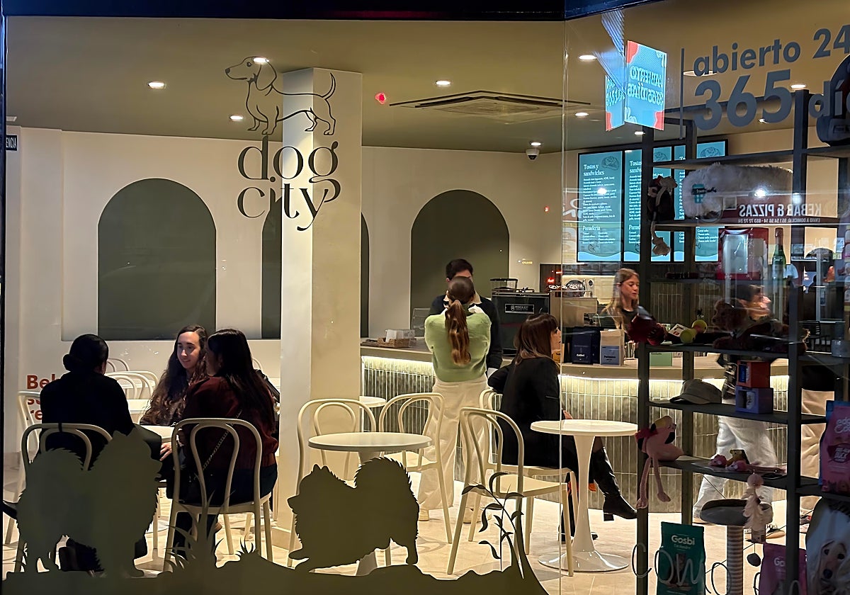 Abre el primer hotel de lujo para perros en Málaga