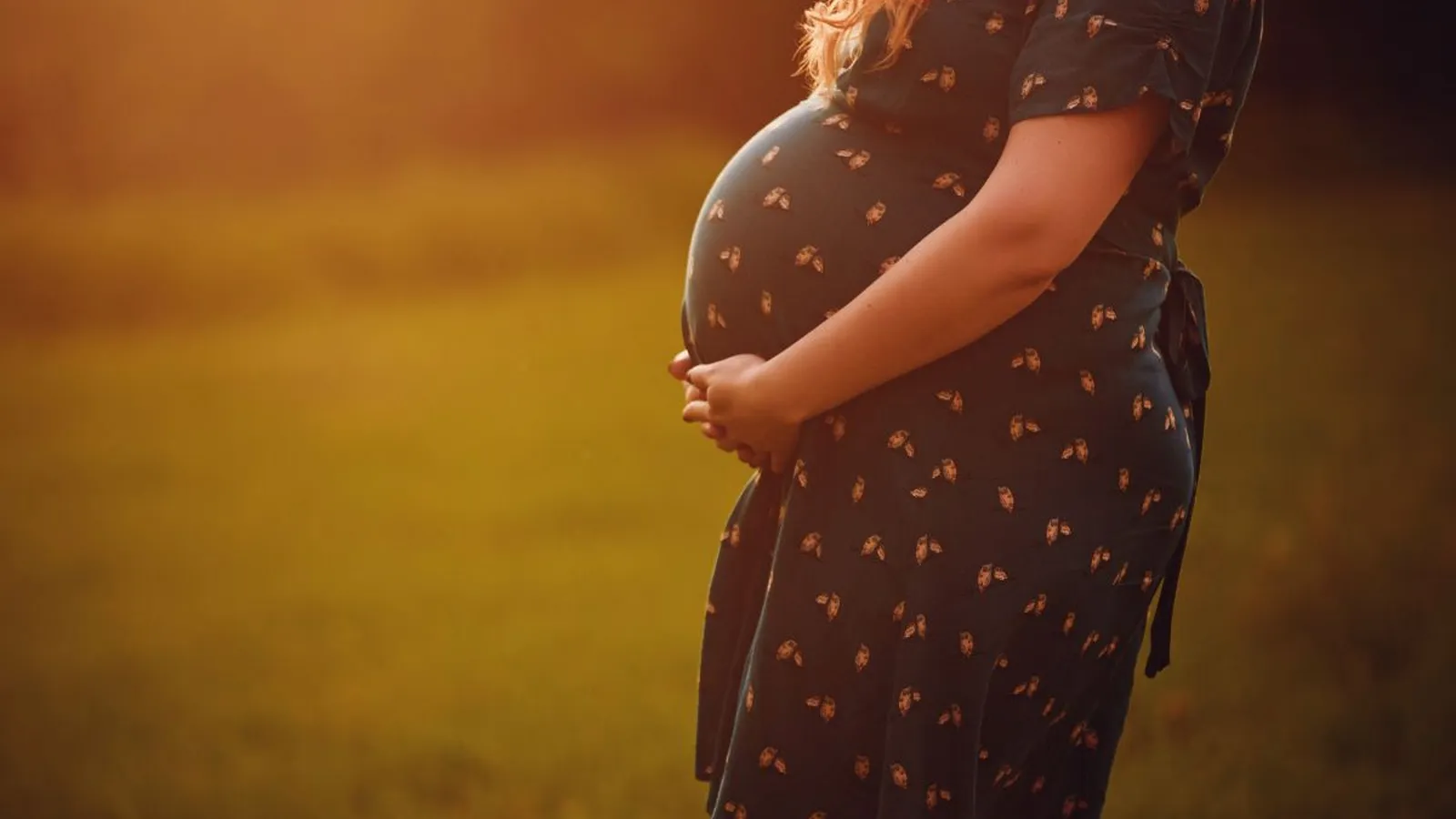 El 10% de los nacimientos en España ya procede de técnicas de reproducción asistida