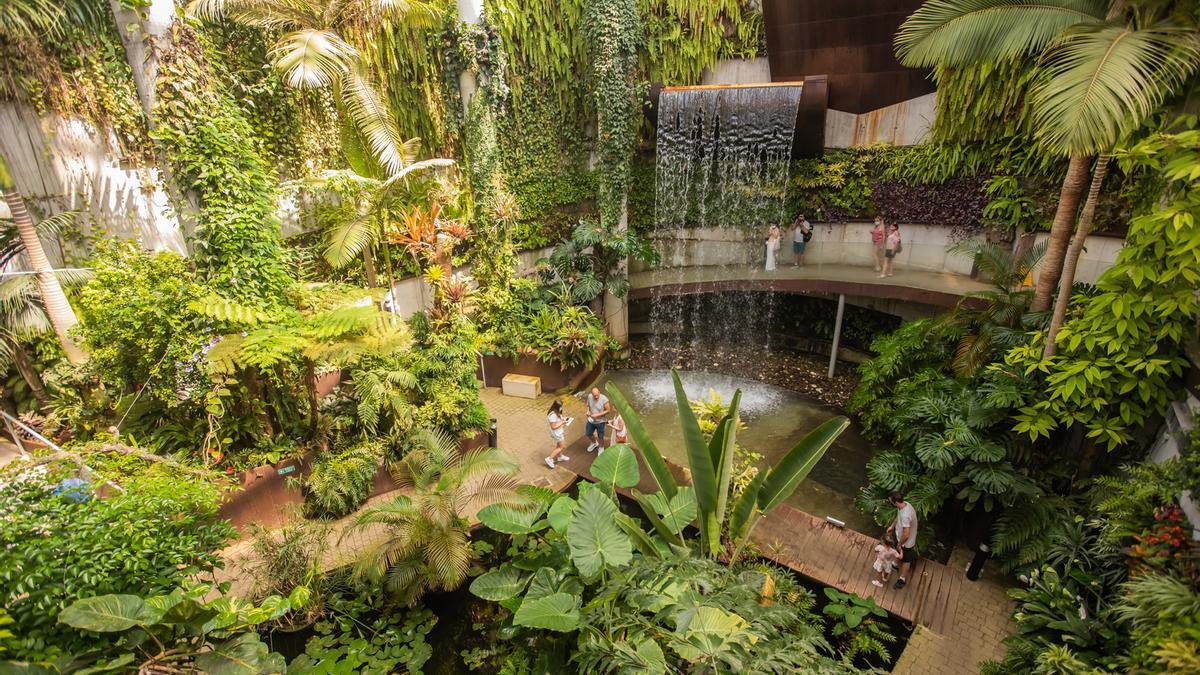 El Orquidario de Estepona, una joya botánica de Europa que cumple diez años