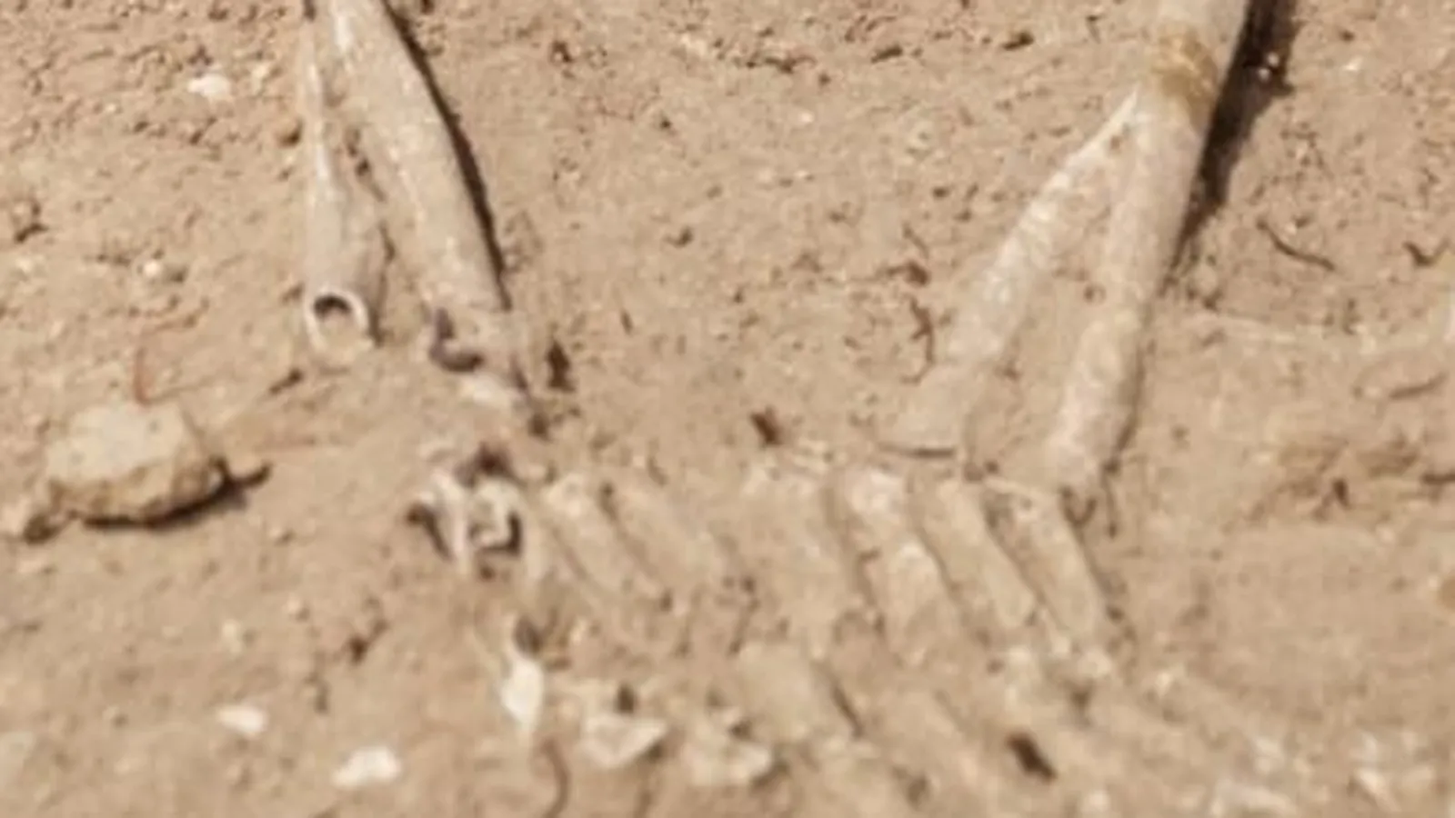 Hallan en el dolmen de Menga, en Antequera, un hombre enterrado con raíces ibéricas, mediterráneas y norteafricanas