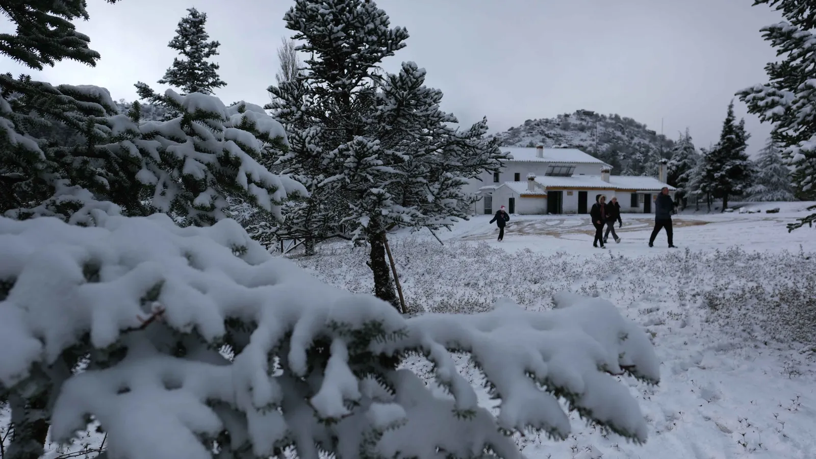 La borrasca Ingrid cubre de blanco la Serranía de Ronda