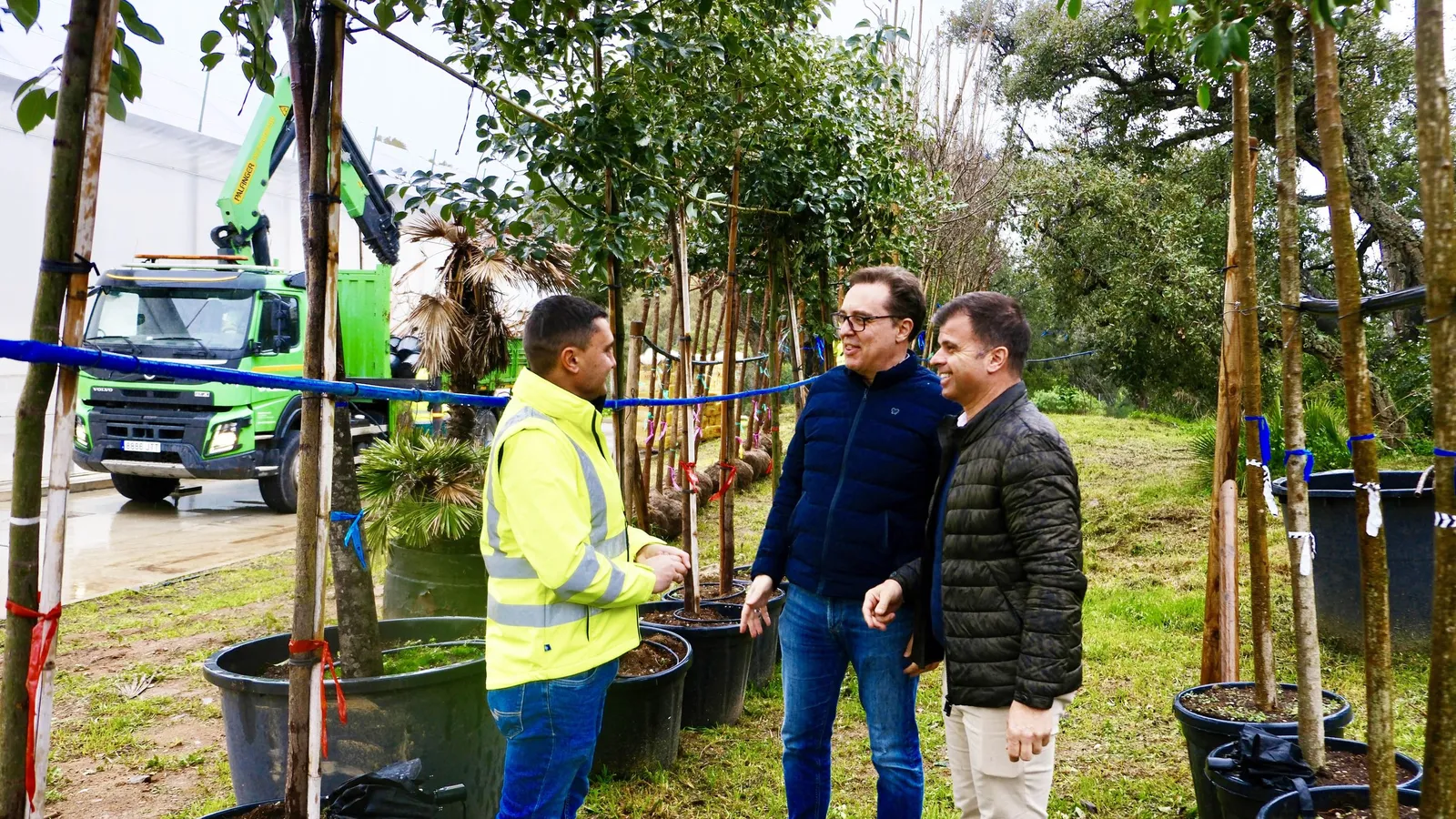 Marbella plantará más de 350 árboles en los próximos meses