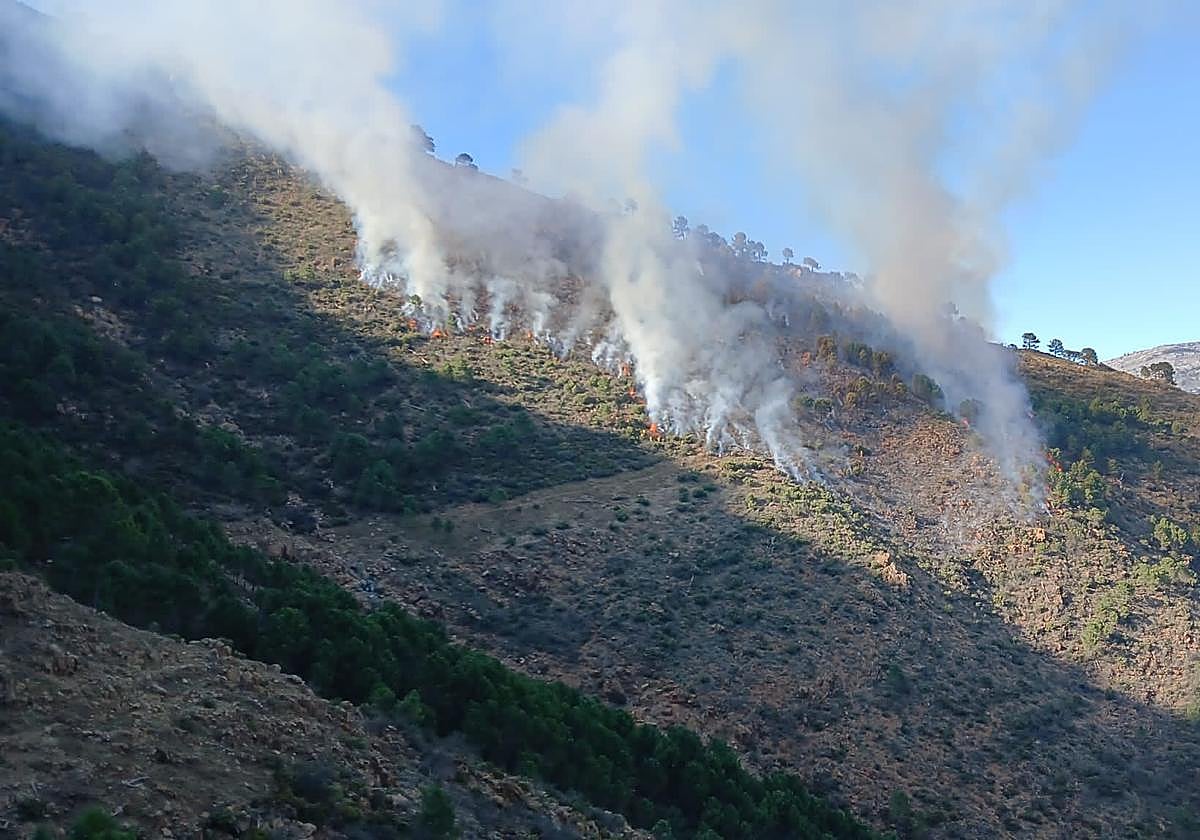 Estabilizado el incendio forestal declarado en Istán