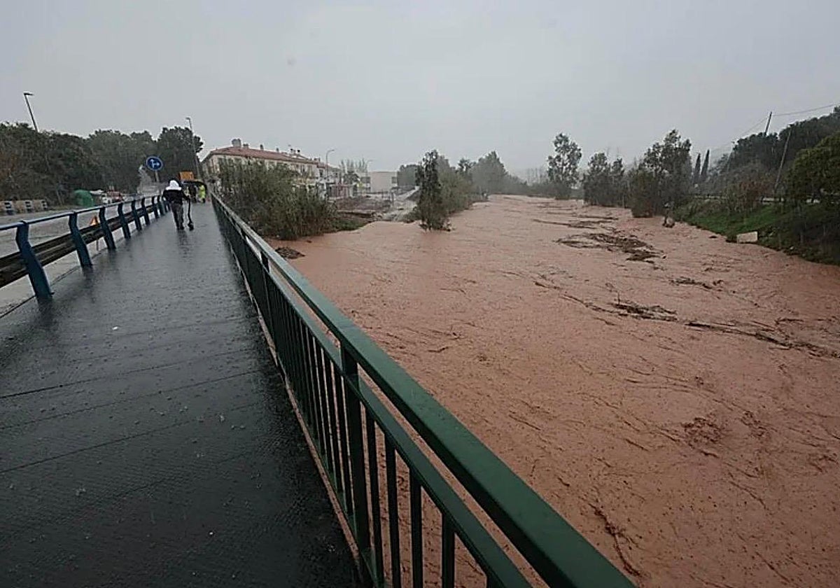 Málaga mantiene vigilancia especial contra el virus del Nilo en Campanillas