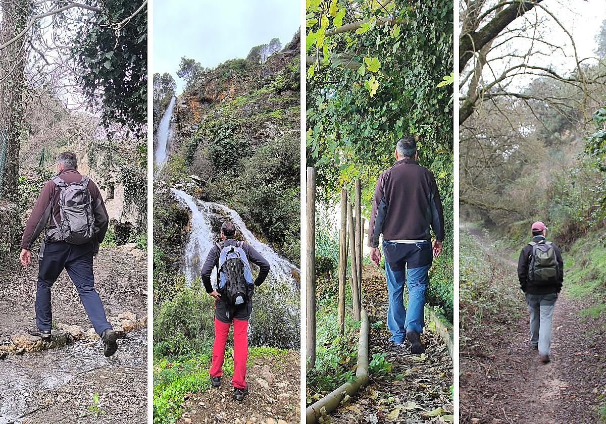 Rutas para disfrutar en Málaga en la primavera más espectacular de los últimos años