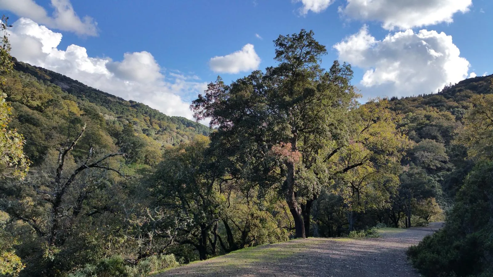 La ruta secreta de Málaga con arroyos y bosques que puedes hacer en una mañana y es ideal en primavera