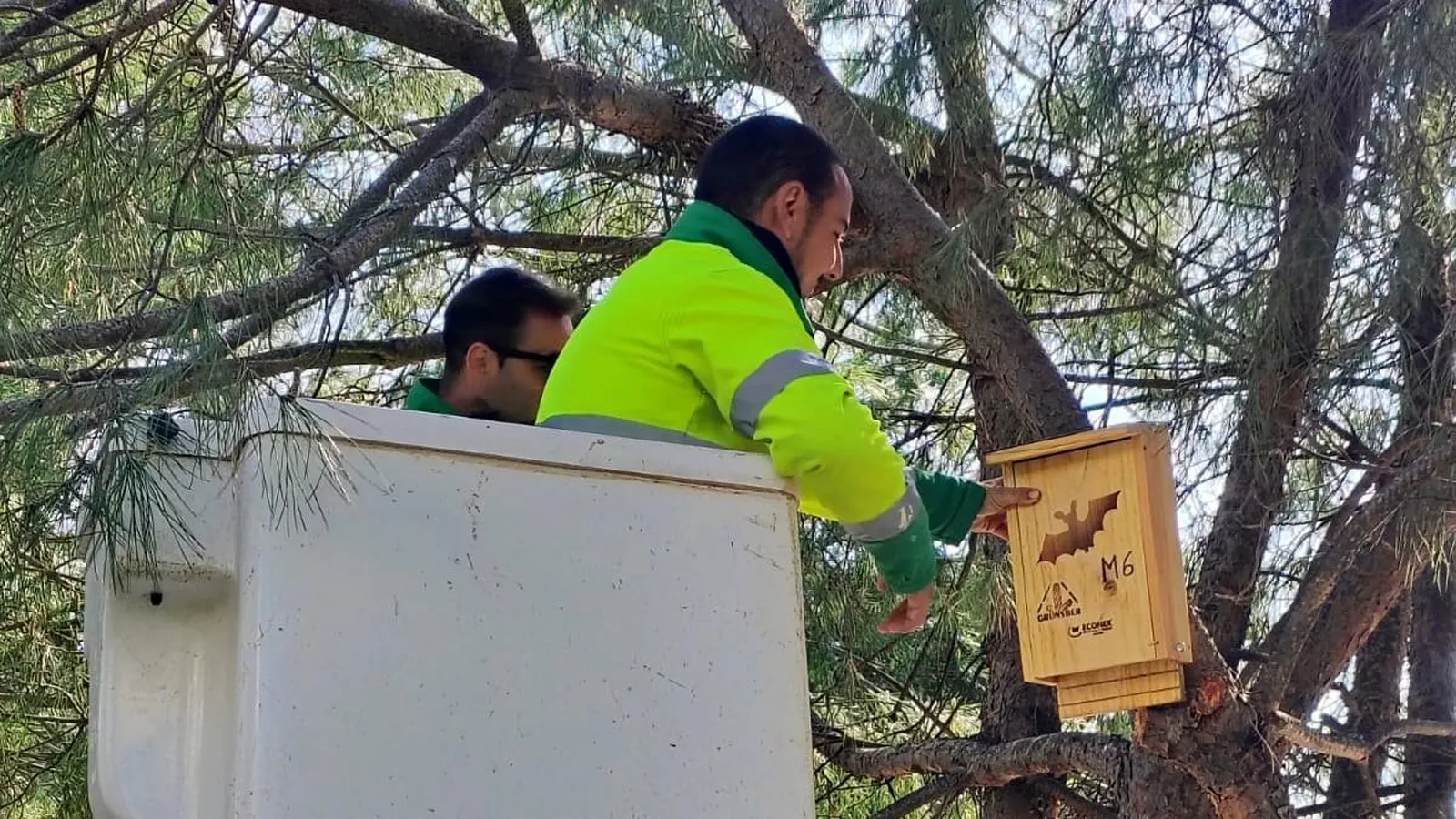 Estepona instala cajas nido de aves y murciélagos para controlar las plagas de insectos