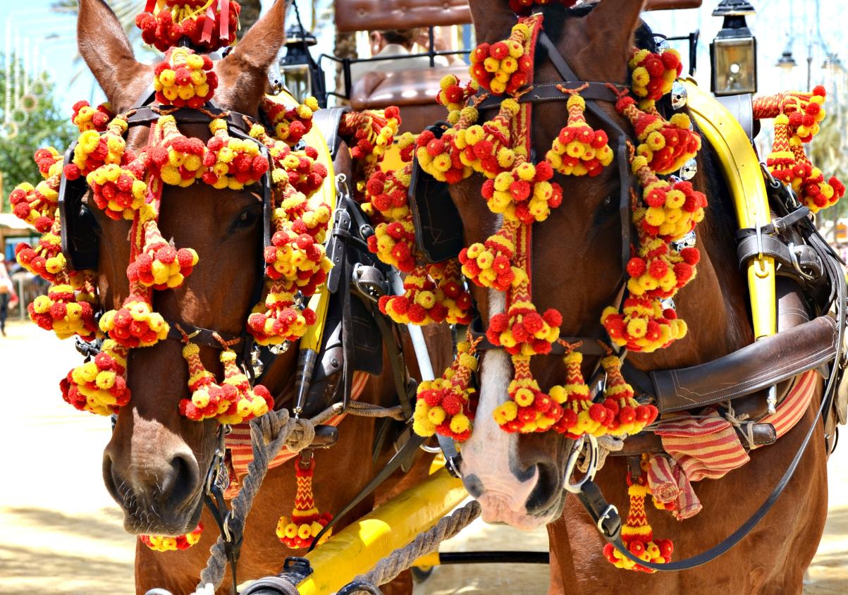 Fuengirola a Caballo 2026: equestrian shows, carriage displays and live music on 19 September