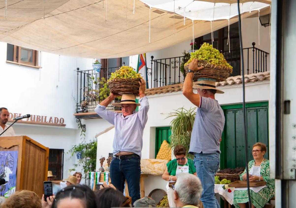 Día de la Pasa 2026 in El Borge: €1 dishes, verdiales and flamenco this Sunday, 20 September