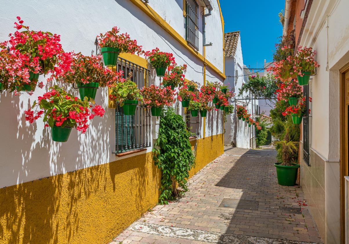 Rural Houses in Málaga from €25 per Person: Where to Find the Widest Choice