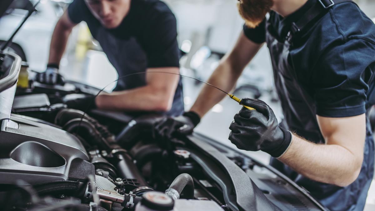 Jobs in Málaga: Tragsa hiring engineers and technical staff with applications closing this week