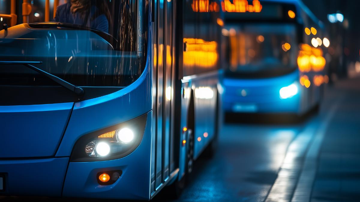 Marbella introduces special bus services to cemeteries for All Saints' Day: routes and timetables