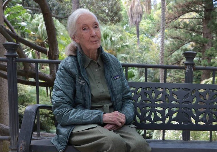 Jane Goodall: lo que le gusta de Málaga y lo que no
