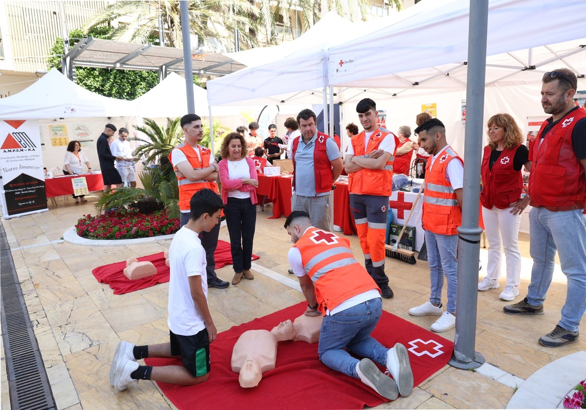 La Feria Social Marbella celebra su 15ª edición con la participación de más de una treintena de asociaciones