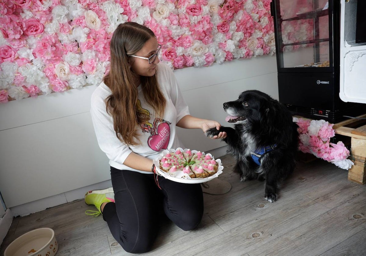 Abre en Málaga la primera tienda especializada en comida casera para perros