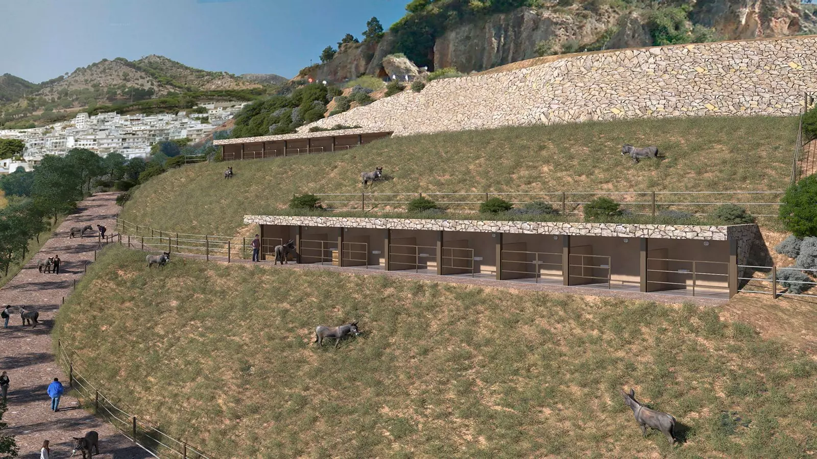 Mijas velará por la preservación de los burros y su reproducción con un parque recreativo