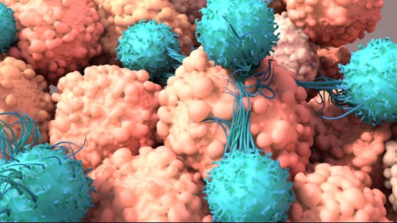 CAR-T: así funciona la terapia que está revolucionando la lucha contra el cáncer
