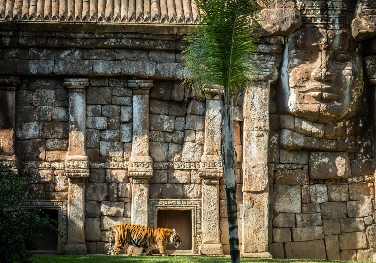 Una experiencia única en la Costa del Sol: viaja a la selva tropical de BIOPARC Fuengirola