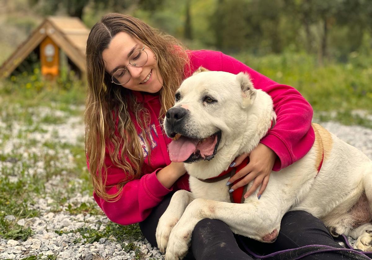 Actividades gratis para perros durante cuatro días en Málaga