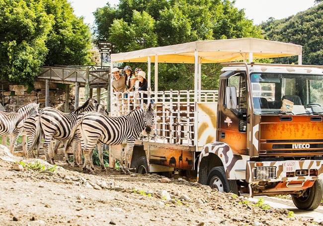 Siete cosas que no hay que perderse durante este verano en una visita a Estepona