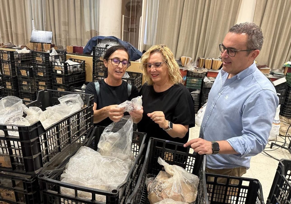 Fuengirola creará un centro de visitantes para mostrar su pasado romano