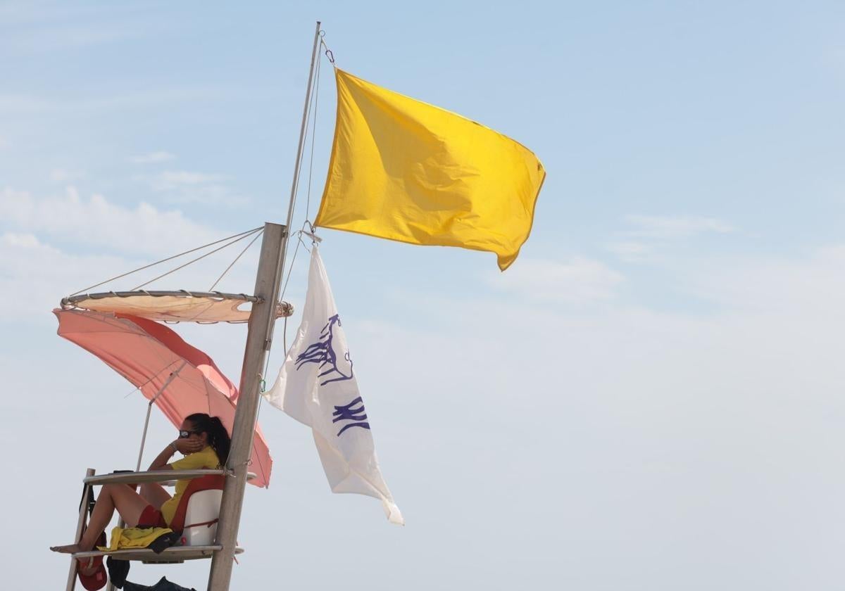 Bandera amarilla por medusas en varias playas de Málaga capital