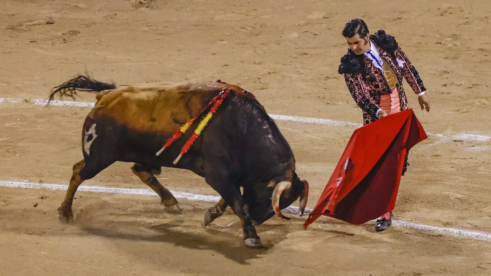 Morante de la Puebla no reaparecerá en la Feria de Málaga