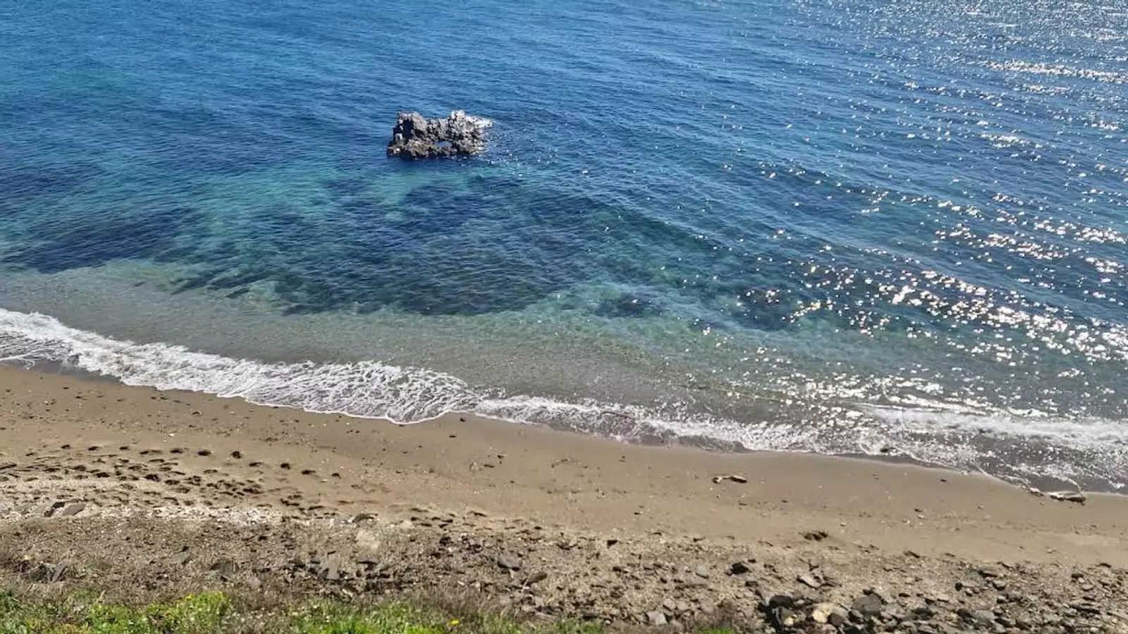 Aza, turista en una de las mejores playas de Málaga: 