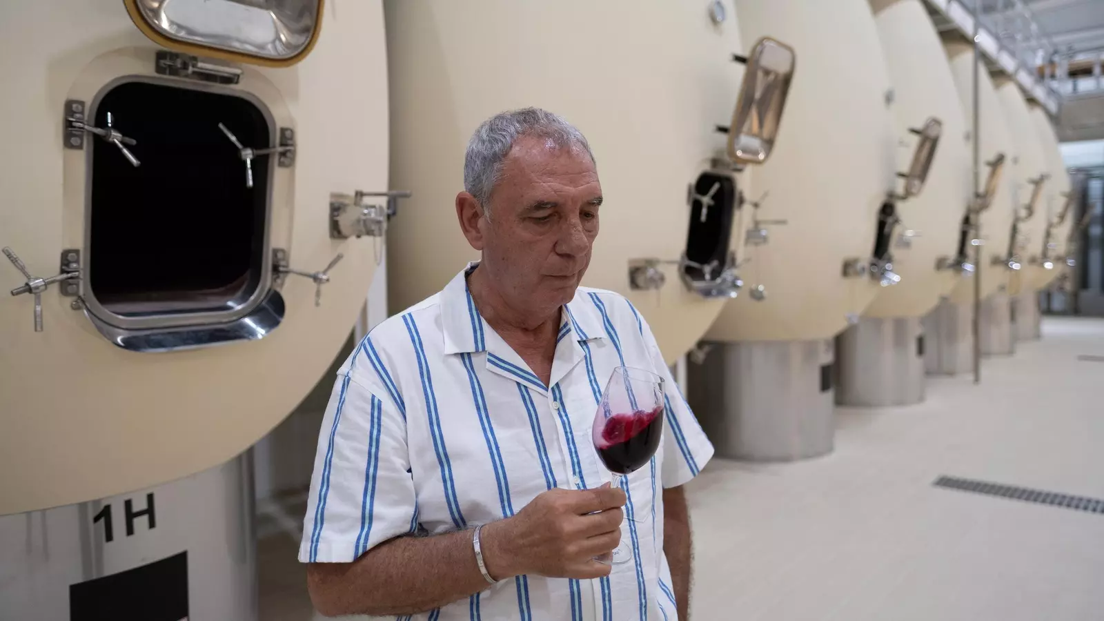 Barricas subterráneas y salas de catas, la innovación de una bodega rondeña