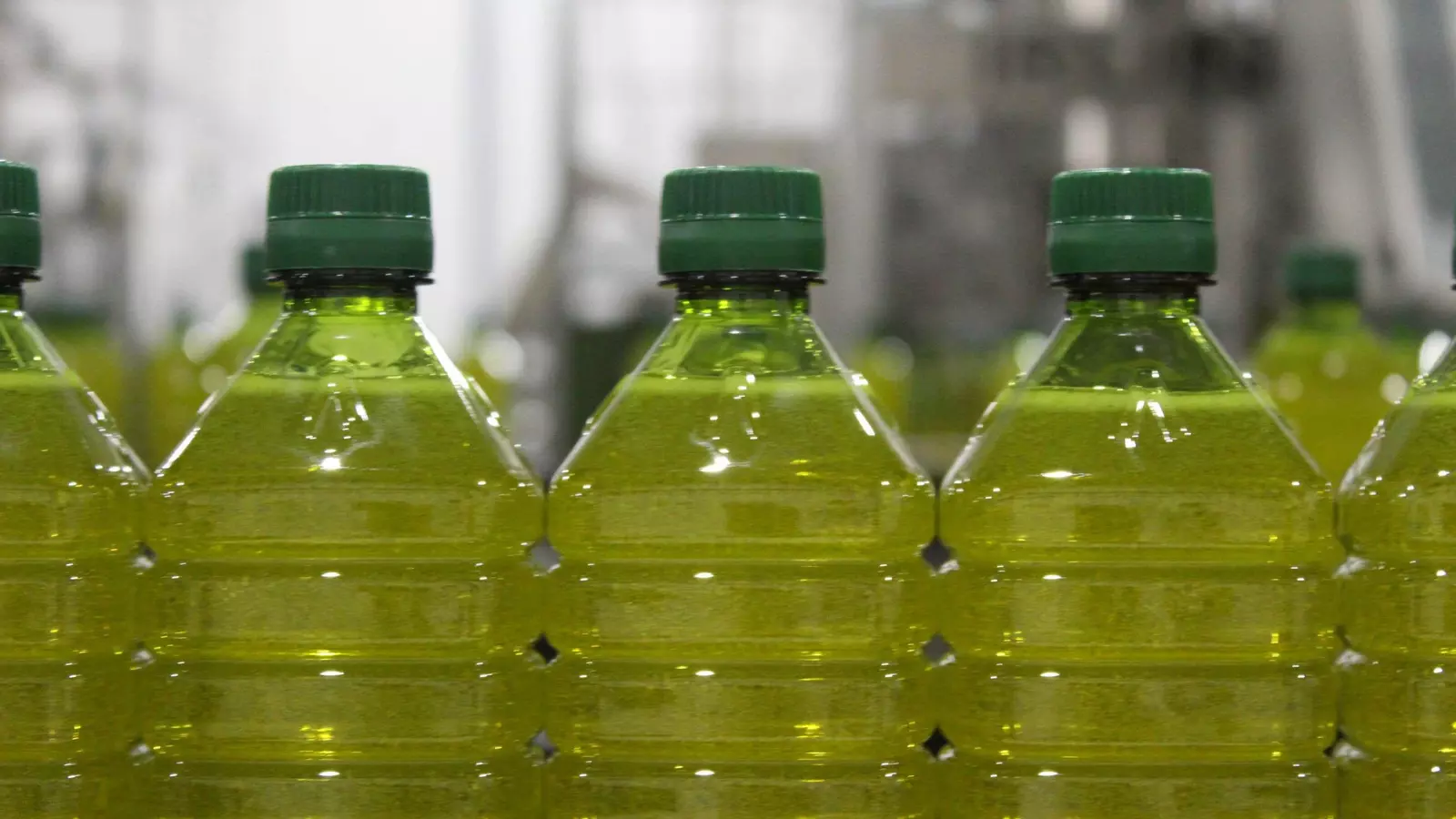 Más evidencias sobre las bondades nutricionales del aceite de oliva