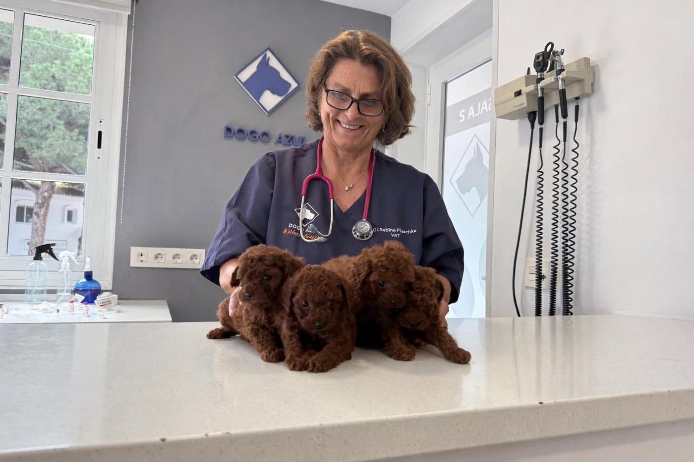 Dogo Azul Veterinary Clinic
